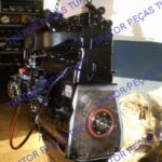 MOTOR MWM D229 04 CIL