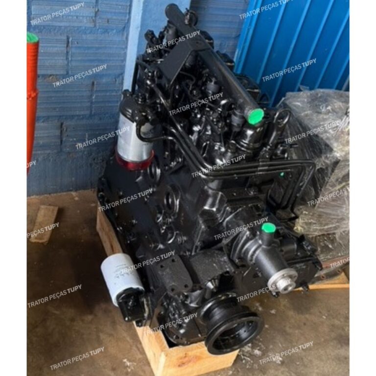 Motor MWM 229